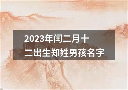 2023年闰二月十二出生郑姓男孩名字