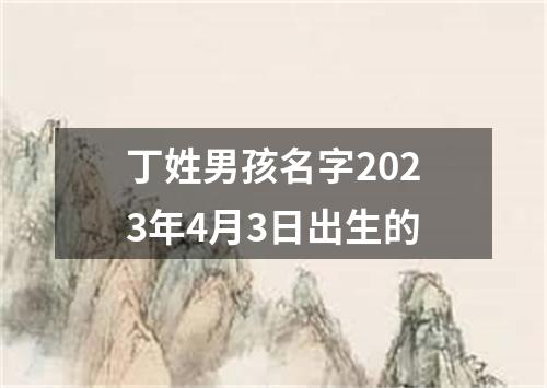 丁姓男孩名字2023年4月3日出生的