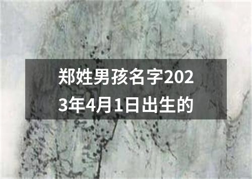 郑姓男孩名字2023年4月1日出生的