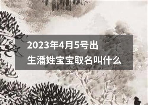 2023年4月5号出生潘姓宝宝取名叫什么
