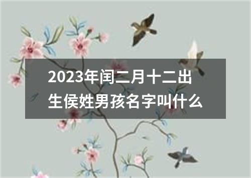 2023年闰二月十二出生侯姓男孩名字叫什么