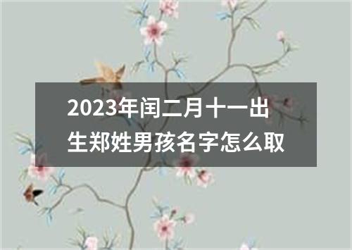2023年闰二月十一出生郑姓男孩名字怎么取