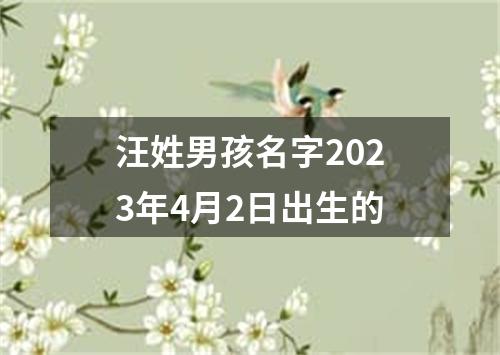 汪姓男孩名字2023年4月2日出生的