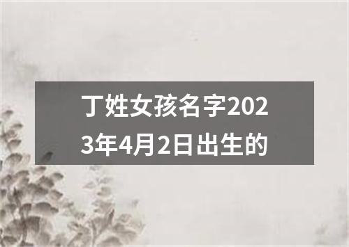 丁姓女孩名字2023年4月2日出生的