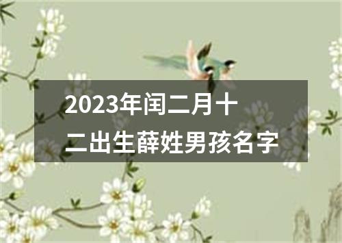 2023年闰二月十二出生薛姓男孩名字