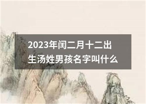 2023年闰二月十二出生汤姓男孩名字叫什么