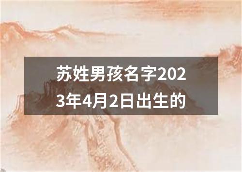 苏姓男孩名字2023年4月2日出生的