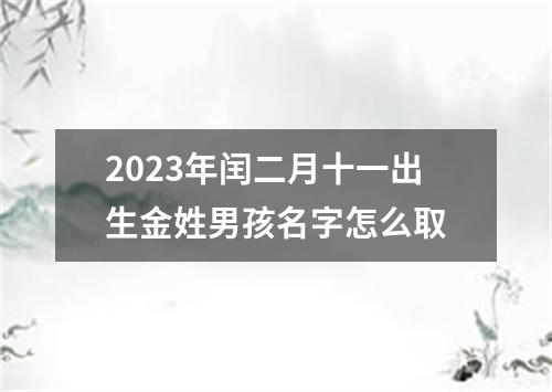 2023年闰二月十一出生金姓男孩名字怎么取