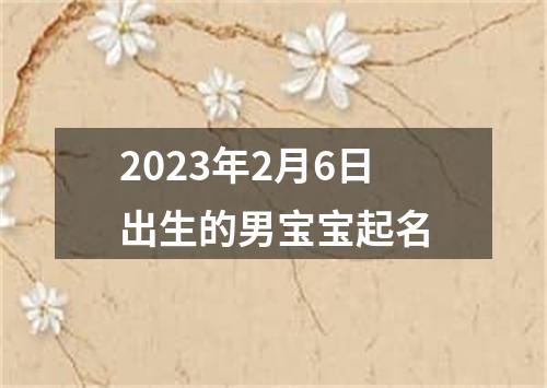 2023年2月6日出生的男宝宝起名