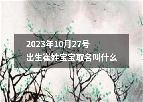 2023年10月27号出生崔姓宝宝取名叫什么