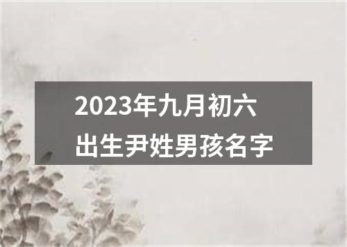 2023年九月初六出生尹姓男孩名字