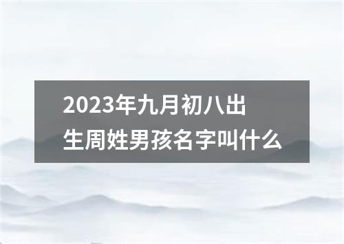 2023年九月初八出生周姓男孩名字叫什么