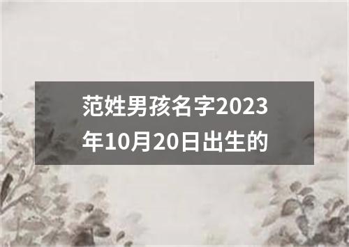 范姓男孩名字2023年10月20日出生的