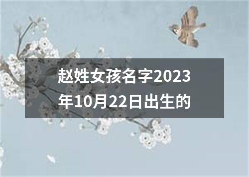 赵姓女孩名字2023年10月22日出生的