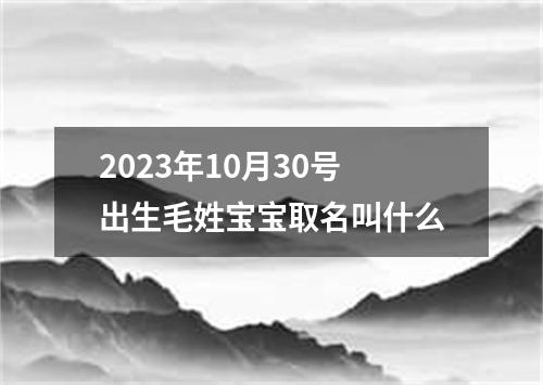2023年10月30号出生毛姓宝宝取名叫什么