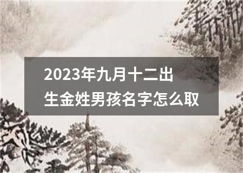 2023年九月十二出生金姓男孩名字怎么取