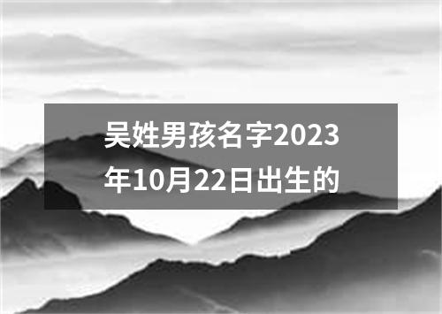 吴姓男孩名字2023年10月22日出生的