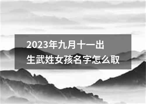 2023年九月十一出生武姓女孩名字怎么取