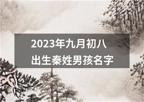 2023年九月初八出生秦姓男孩名字