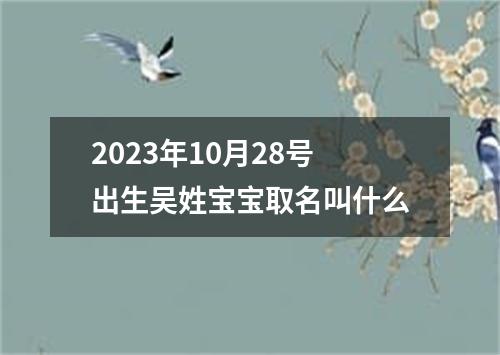 2023年10月28号出生吴姓宝宝取名叫什么