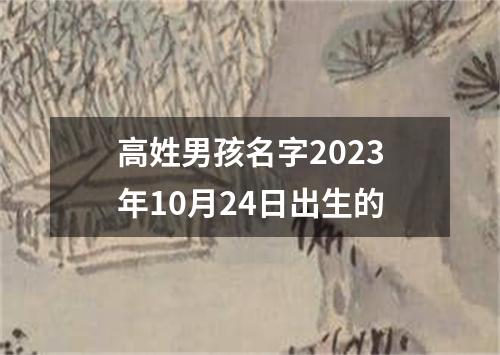 高姓男孩名字2023年10月24日出生的