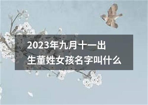 2023年九月十一出生董姓女孩名字叫什么