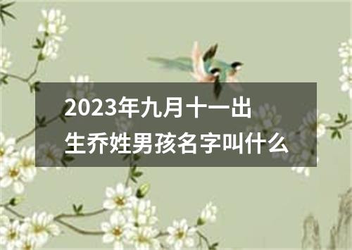 2023年九月十一出生乔姓男孩名字叫什么
