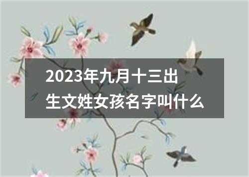 2023年九月十三出生文姓女孩名字叫什么