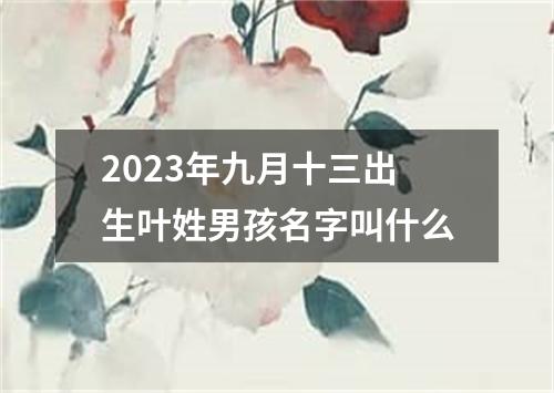 2023年九月十三出生叶姓男孩名字叫什么