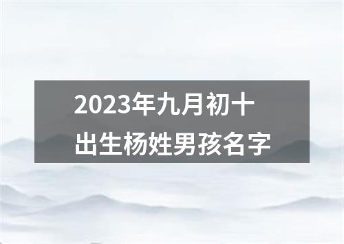 2023年九月初十出生杨姓男孩名字