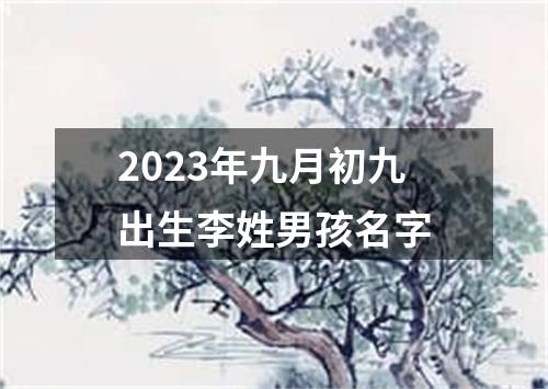 2023年九月初九出生李姓男孩名字