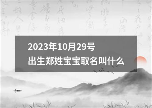 2023年10月29号出生郑姓宝宝取名叫什么