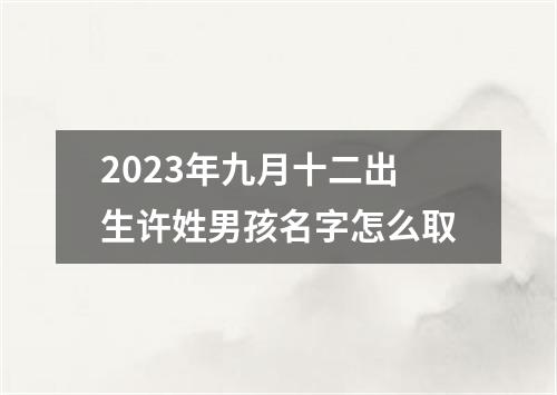 2023年九月十二出生许姓男孩名字怎么取