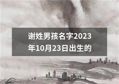 谢姓男孩名字2023年10月23日出生的