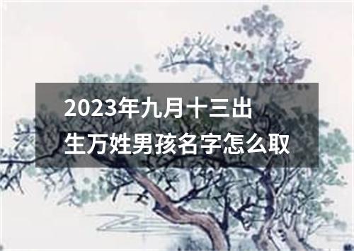 2023年九月十三出生万姓男孩名字怎么取