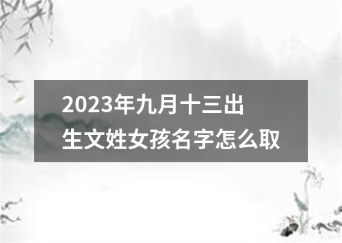 2023年九月十三出生文姓女孩名字怎么取