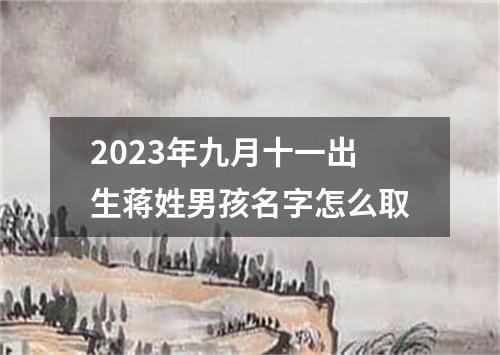 2023年九月十一出生蒋姓男孩名字怎么取