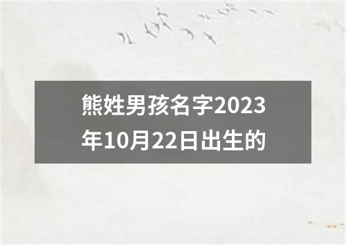 熊姓男孩名字2023年10月22日出生的