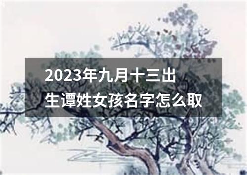 2023年九月十三出生谭姓女孩名字怎么取