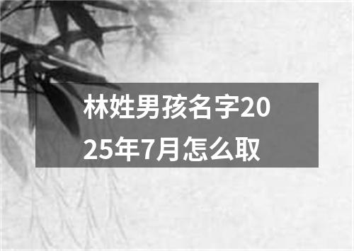 林姓男孩名字2025年7月怎么取