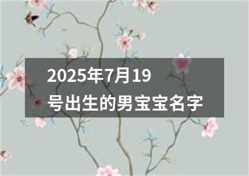 2025年7月19号出生的男宝宝名字