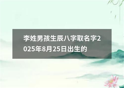 李姓男孩生辰八字取名字2025年8月25日出生的