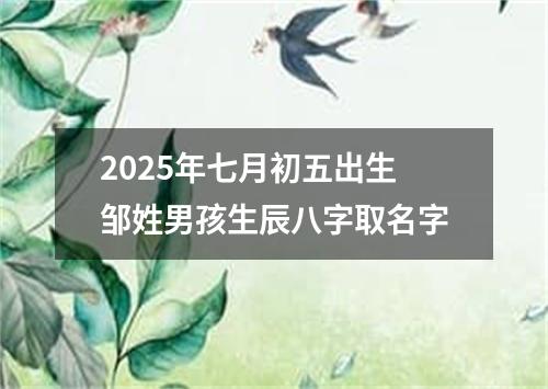 2025年七月初五出生邹姓男孩生辰八字取名字
