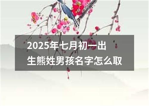 2025年七月初一出生熊姓男孩名字怎么取