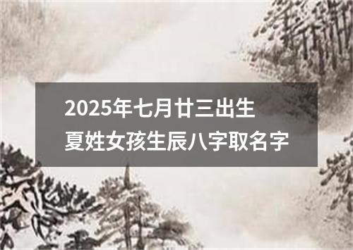 2025年七月廿三出生夏姓女孩生辰八字取名字