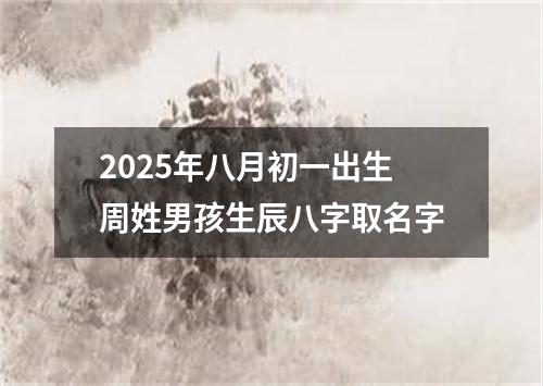 2025年八月初一出生周姓男孩生辰八字取名字