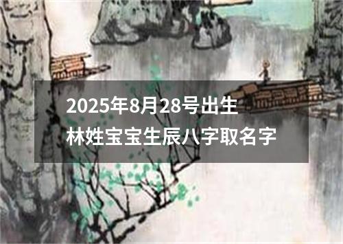2025年8月28号出生林姓宝宝生辰八字取名字