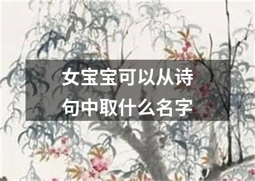 女宝宝可以从诗句中取什么名字