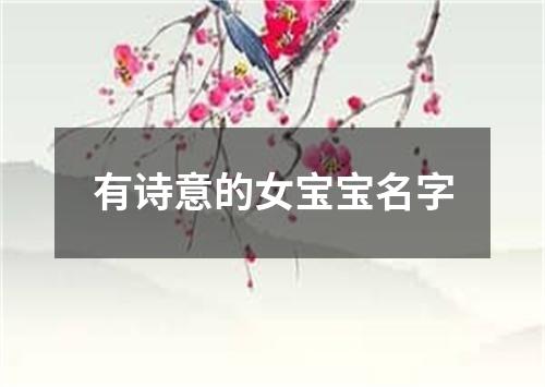 有诗意的女宝宝名字