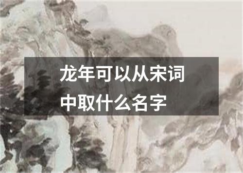 龙年可以从宋词中取什么名字